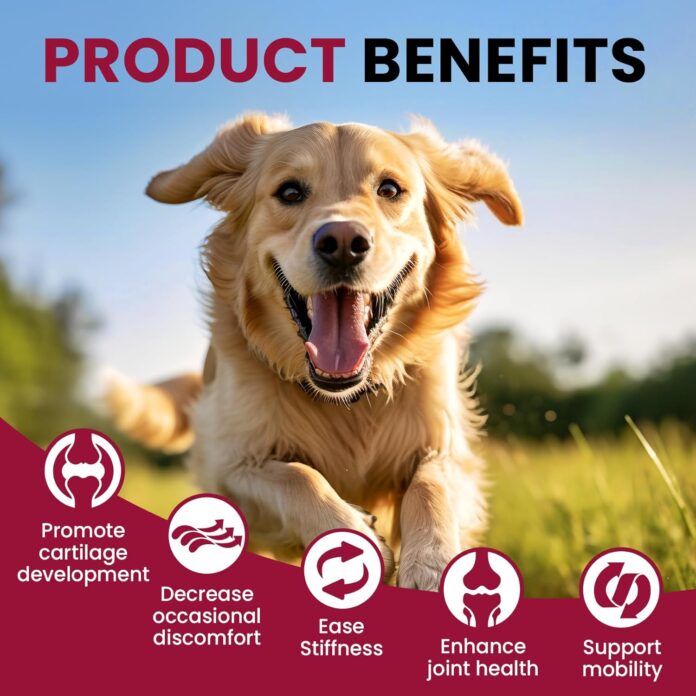 Glucosamine for Dogs