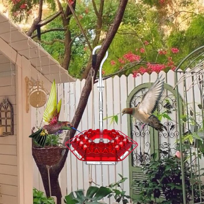 Sherem Hummingbird