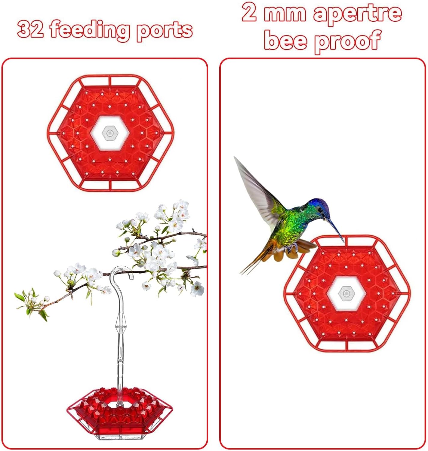 Sherem Hummingbird